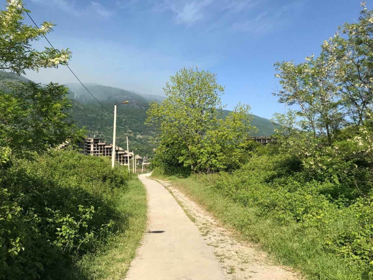 Готель Ainar Гагра Екстер'єр фото